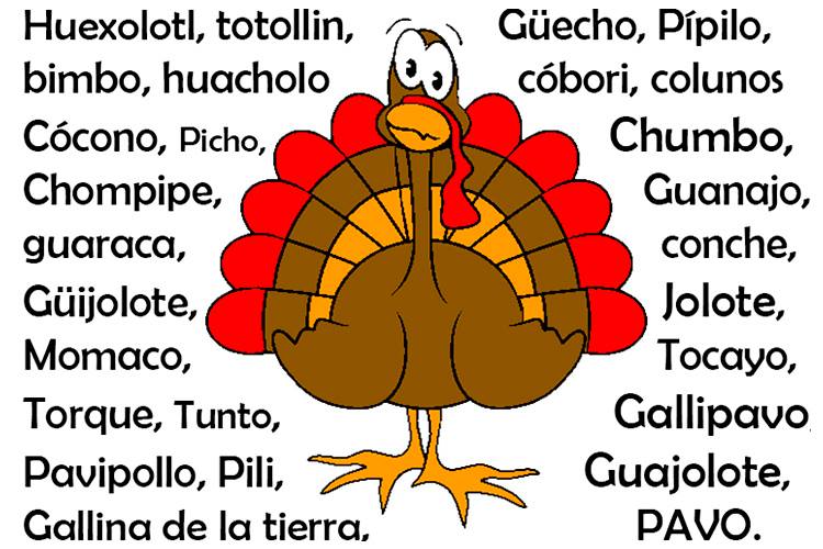 otros-nombres-del-pavo