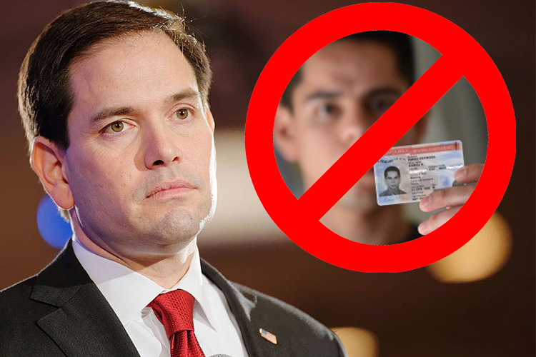Marco Rubio, Senador cubano de Florida, pide fin del DACA