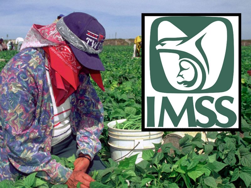 ¡Paisano, ahora puedes contratar Seguro Social por internet!