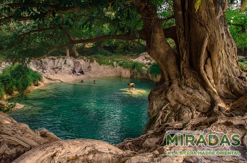 Encuentro familiar al natural