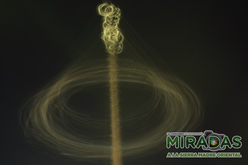 Voladores en la noche