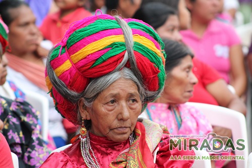 Los años entre hilos