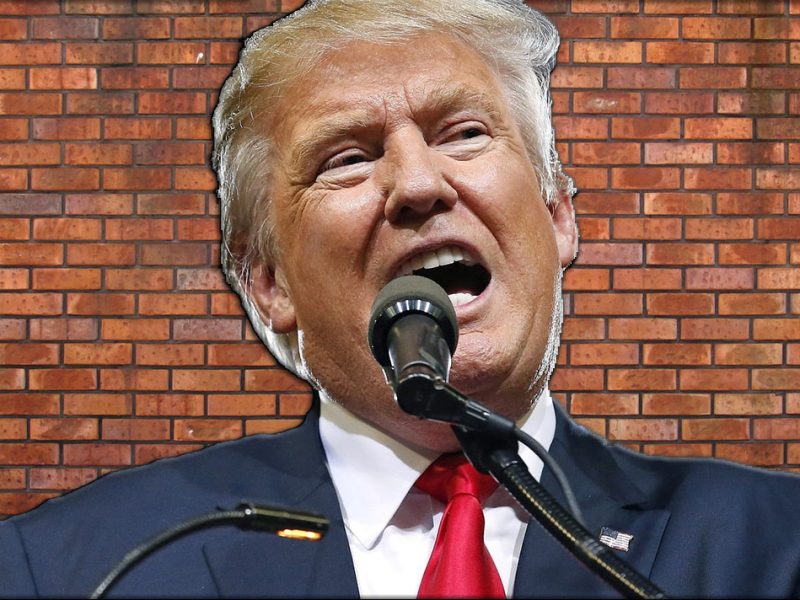 "México, de alguna manera, pagará por el muro"