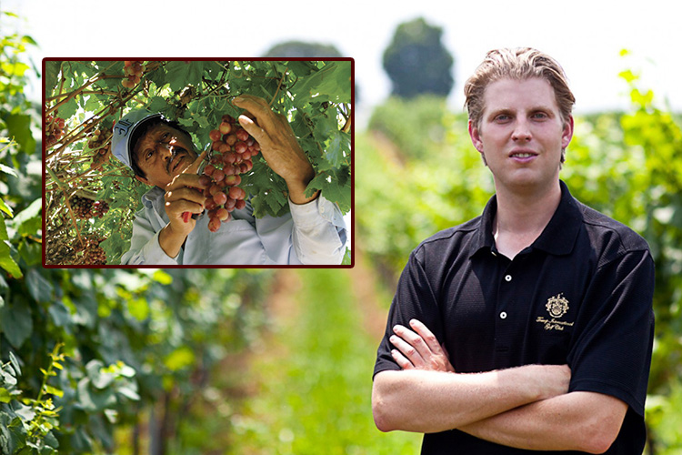 Hijo de Donald Trump ofrece trabajo a inmigrantes en su viñedo