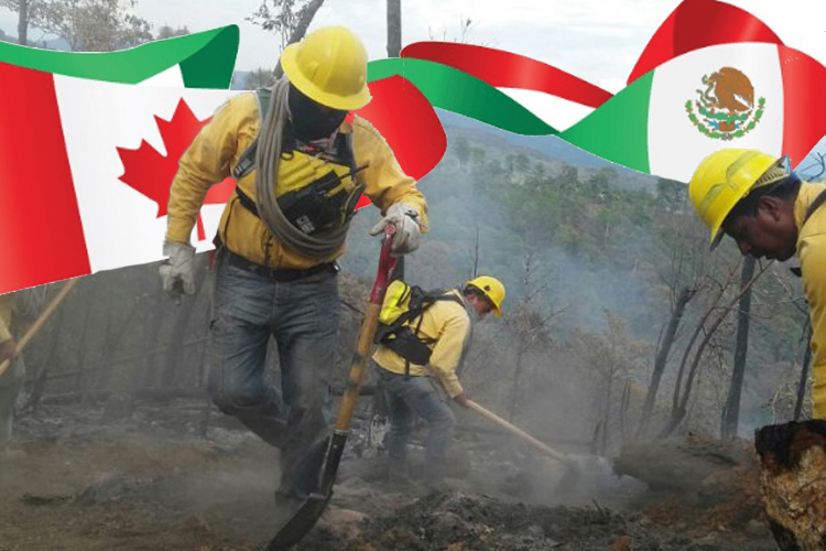 Con o sin TLC, México  necesita cuando menos esta estrategia