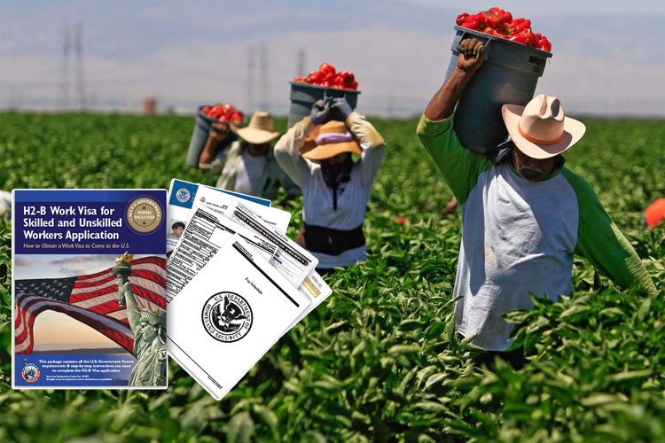 ¿Quieres trabajar temporalmente en EEUU? Pide a tu patrón un Visa H-2