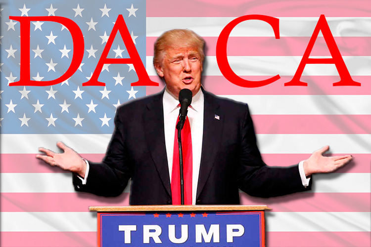 Trump planea ofrecer DACA a cambio de dinero para el muro fronterizo