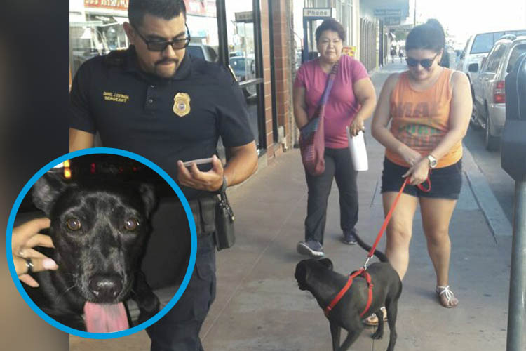 Fue "deportada" por matar a dos gatos