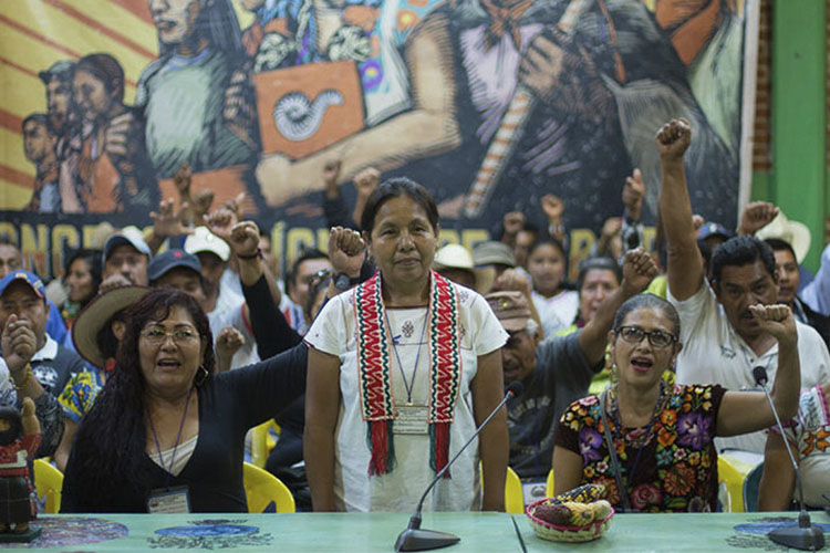 Es vocera del Consejo Indígena