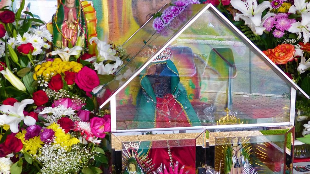 Aseguran que en pedacito de tronco se plasmó la imagen de la Virgen 