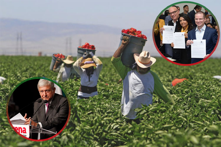 Morena, el Frente Amplio y migración