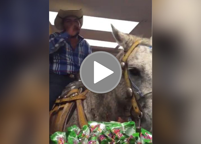 El jinete y su caballo resultaron inseparables