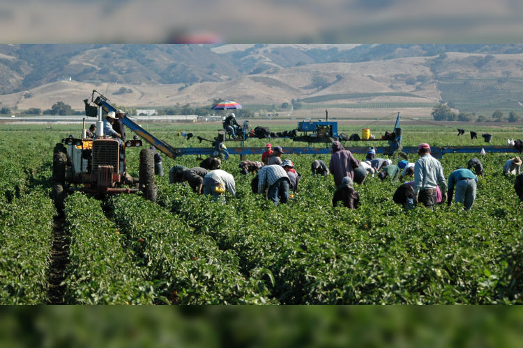 Falta de mano de obra en Estados Unidos aumenta la inflación.