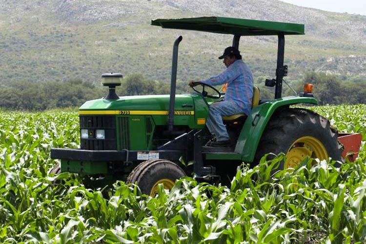 Washington padece la falta de migrantes