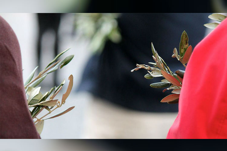 El Domingo de Ramos se celebra este 25 de marzo y marcará el inicio de Semana Santa conmemorando no uno sino dos acontecimientos muy significativos en la vida de Cristo. Foto: ACI Prensa
