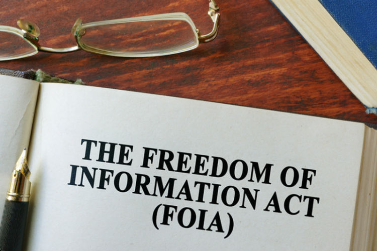 En caso de que pienses realizar un trámite ante migración o simplemente quieras saber el estado de tu récord migratorio tendrás que consultar la FOIA.