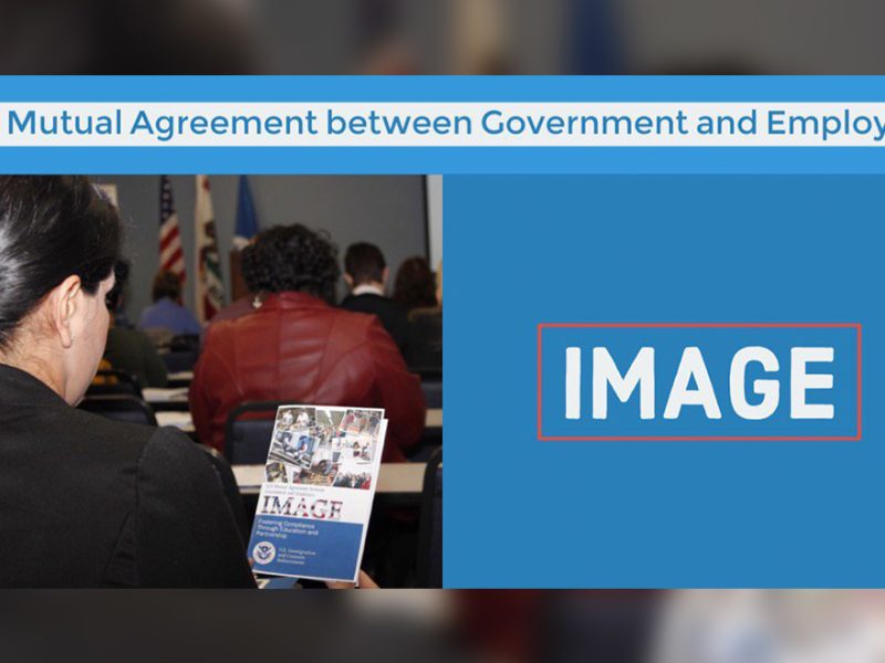 ICE anunció que realizó auditorías a más de 5 mil empresas para asegurarse que todos sus trabajadores tengan papeles y crear una “cultura del cumplimiento”.