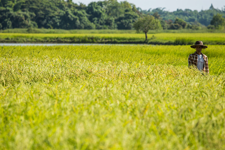 La reestructuración económica y la Gran Recesión económica afectaron gravemente a las áreas rurales, las cuales ven un segundo aire gracias a los migrantes