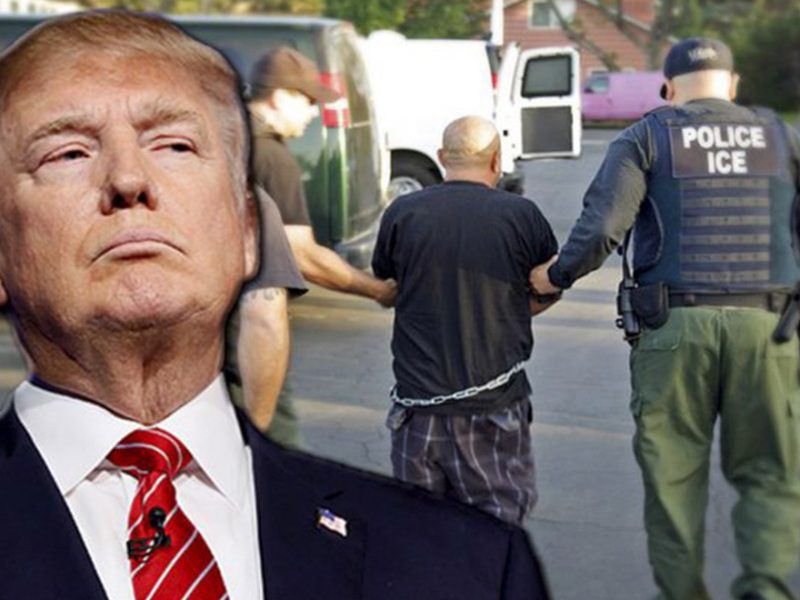 los delitos más graves, como homicidios y violaciones, son relativamente inusuales entre los deportados.