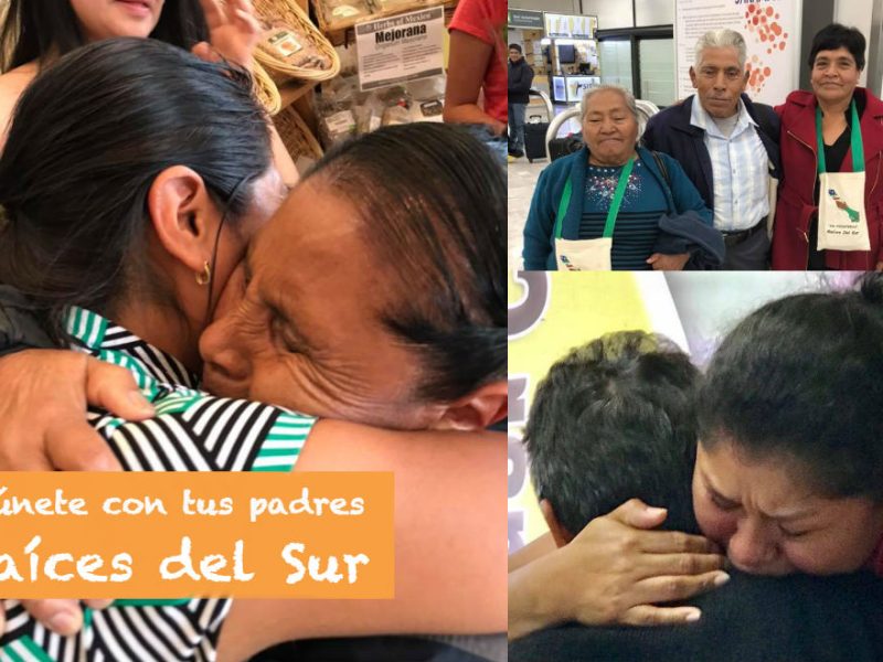 El programa Raíces del Sur trabaja de forma independiente, por lo que cualquier estado de la República Mexicana puede participar