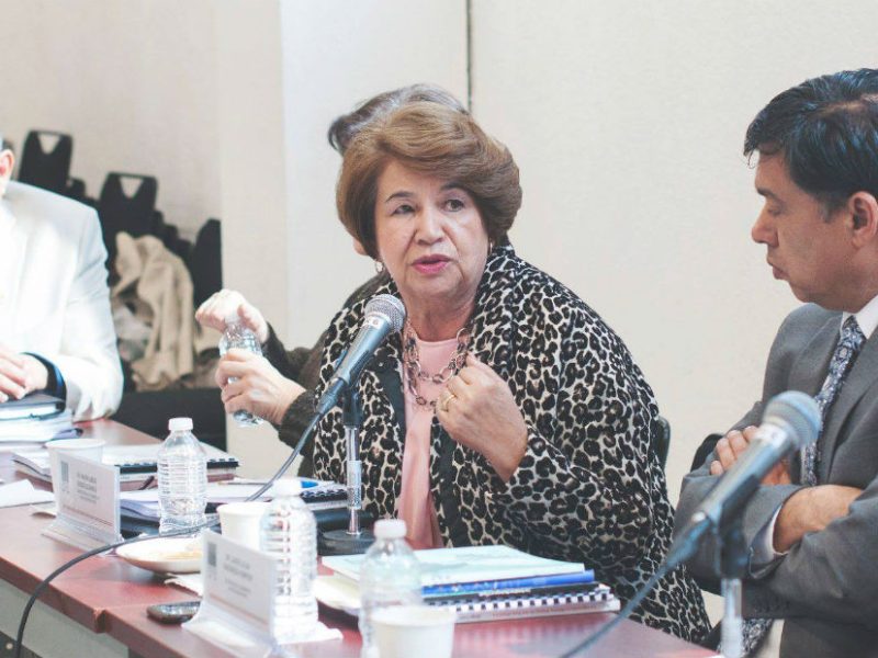 La legisladora migrante Libier González Anaya señaló que el recorte de presupuesto va contra un sector que en su mayoría voto por el presidente