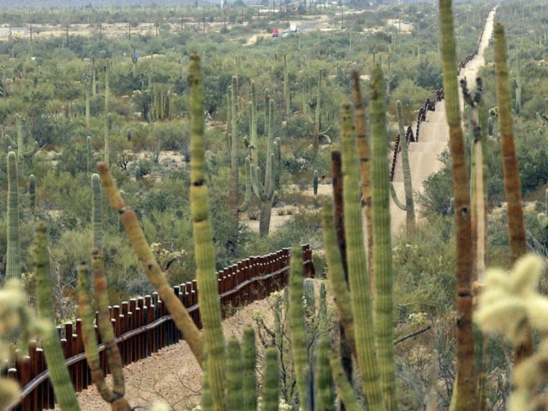Muro fronterizo atraviesa vida silvestre en el desierto de Arizona