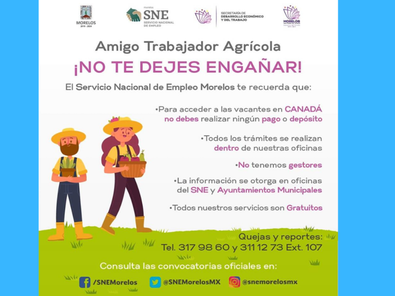 ¡No te dejes engañar! Alertan sobre fraudes de empleo en Canadá