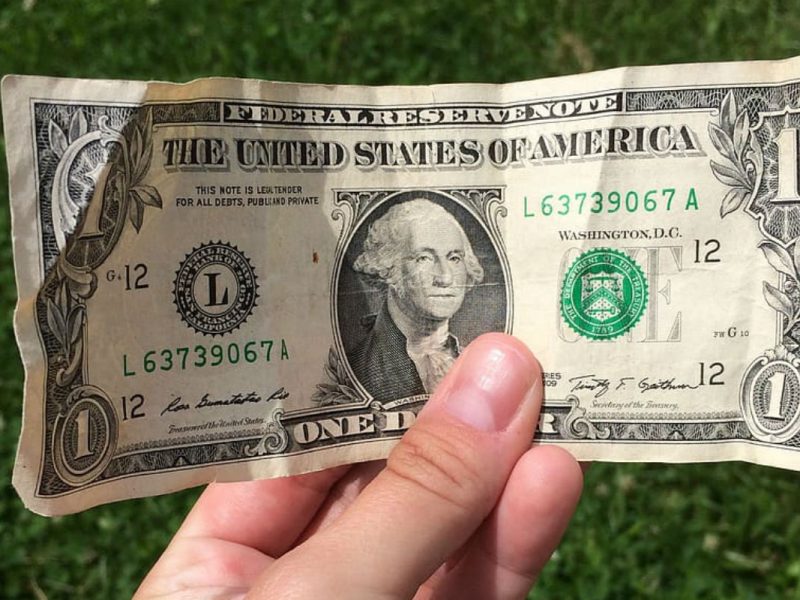 dollar-bill-hand-grass-money