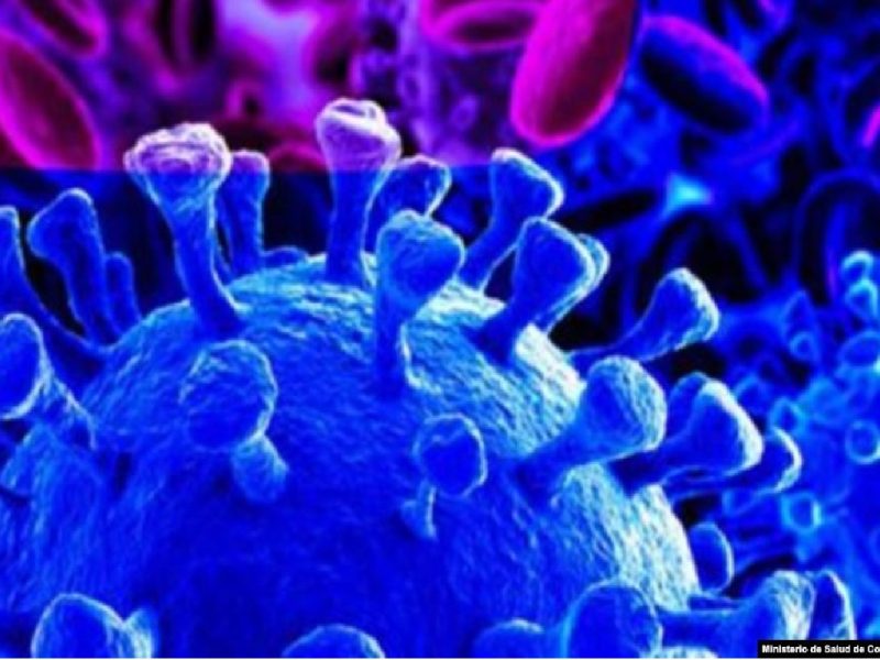 Alto al pánico por el Covid-19