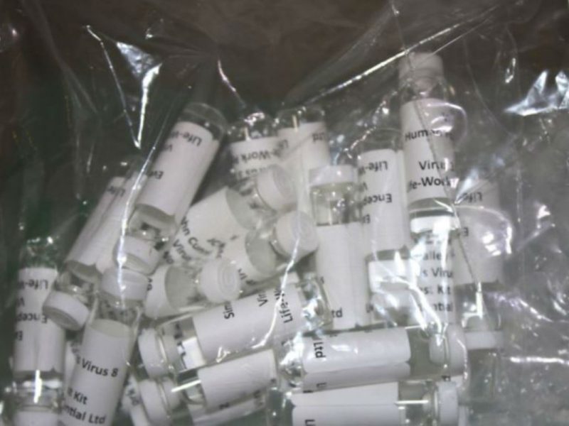 CBP decomisa exámenes falsos para el Covid-19 VOA CBP