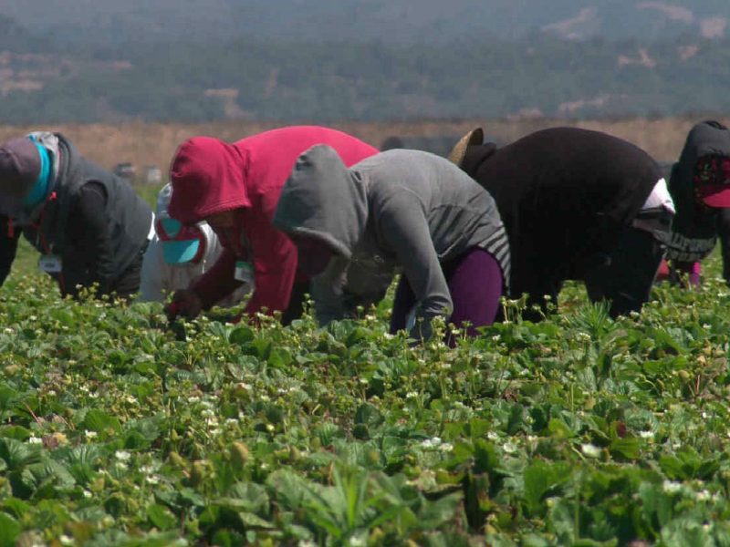 California garantiza ayuda a migrantes indocumentados por Covid-19