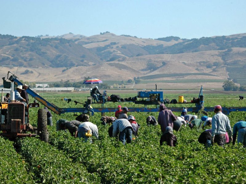 Los trabajadores esenciales serían algunos de los más beneficiados con la reforma migratoria.