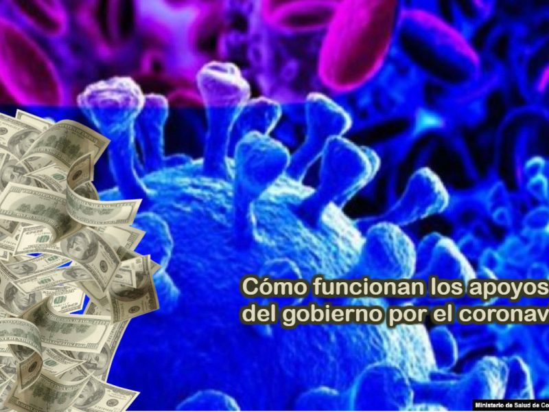 Apoyos del gobienro por el coronavirus VOA