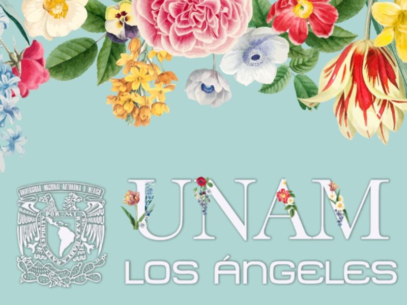 Aprovecha la cuarentena con los cursos en línea de UNAM Los Ángeles