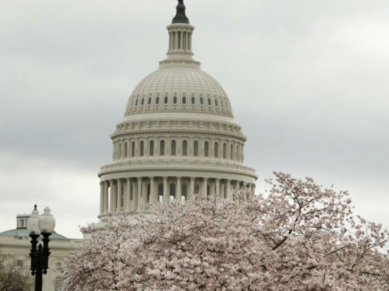 Lucha partidista en el Senado bloquea ayuda adicional a pequeñas empresas