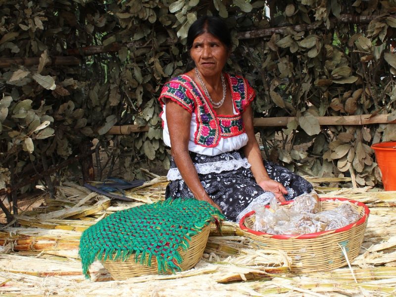 CNDH pide proteger a población indígena ante emergencia sanitaria