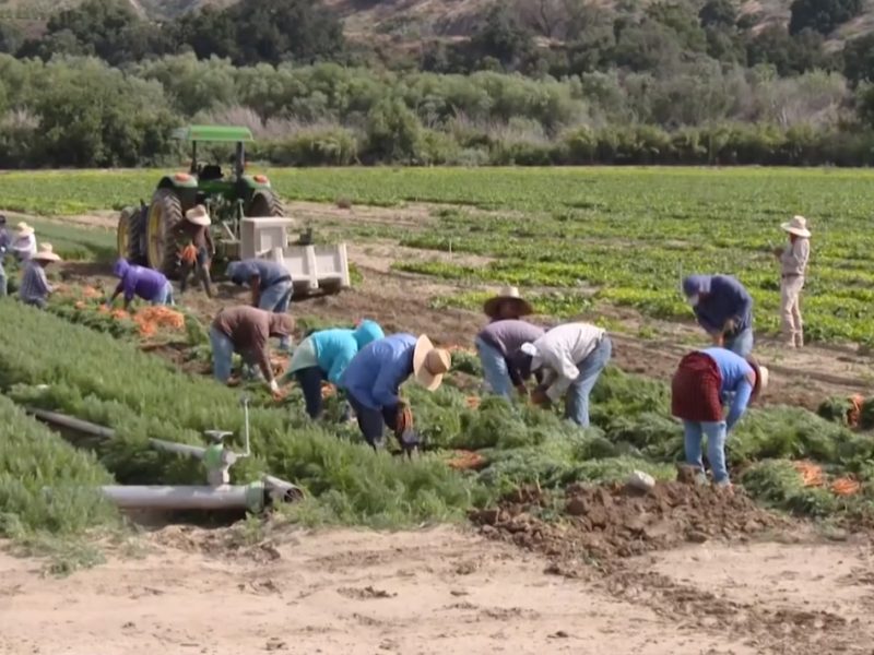 California establece ayuda para indocumentados afectados por Covid-19