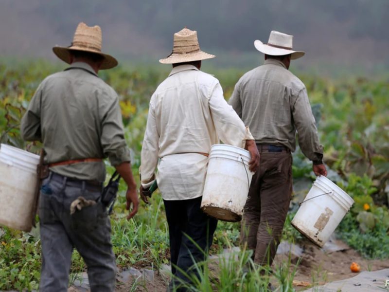 Senadores de EEUU piden proteger a latinos indocumentados