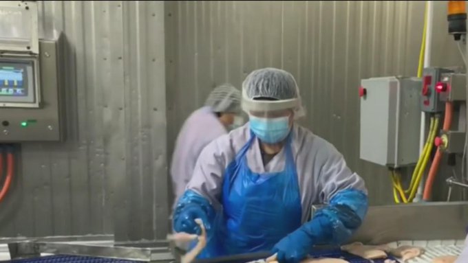 De entre todas las minorías, los latinos son los más afectados por la pandemia de coronavirus.