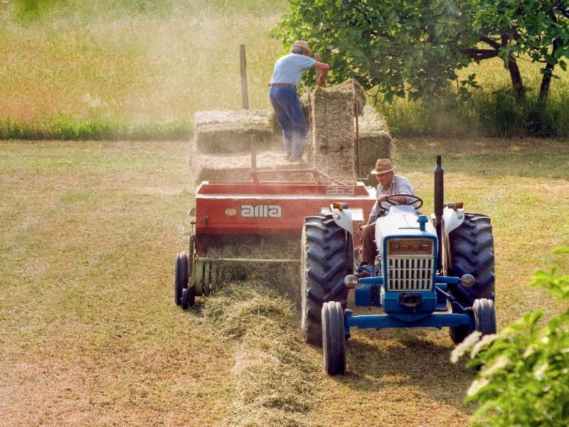 CNDH investigará muerte de migrantes mexicanos en granjas de Canadá