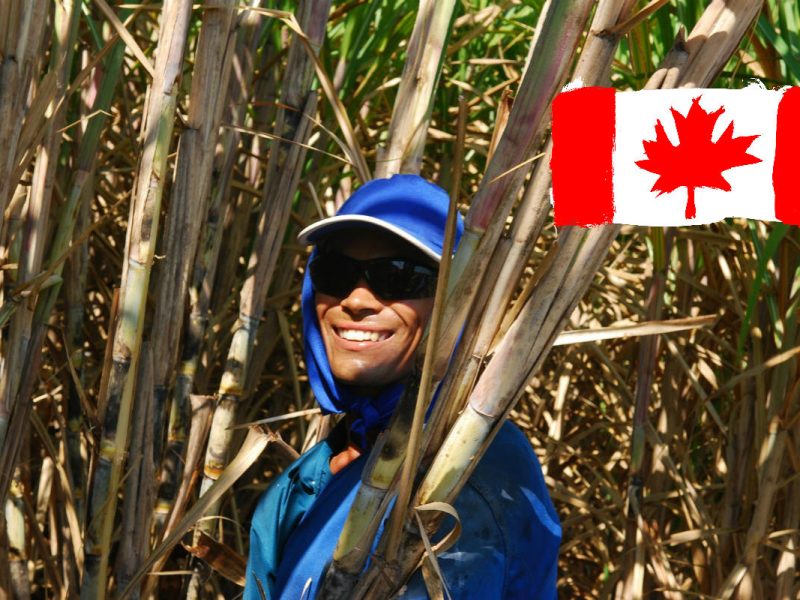 the-rural-worker-trabajar en Canadá Pixabay