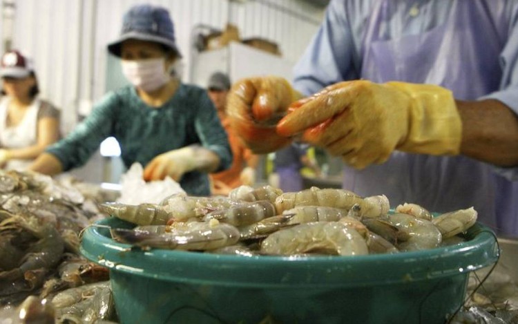 Trabajadoras migrantes presentan cargos contra procesadora de mariscos estadounidense