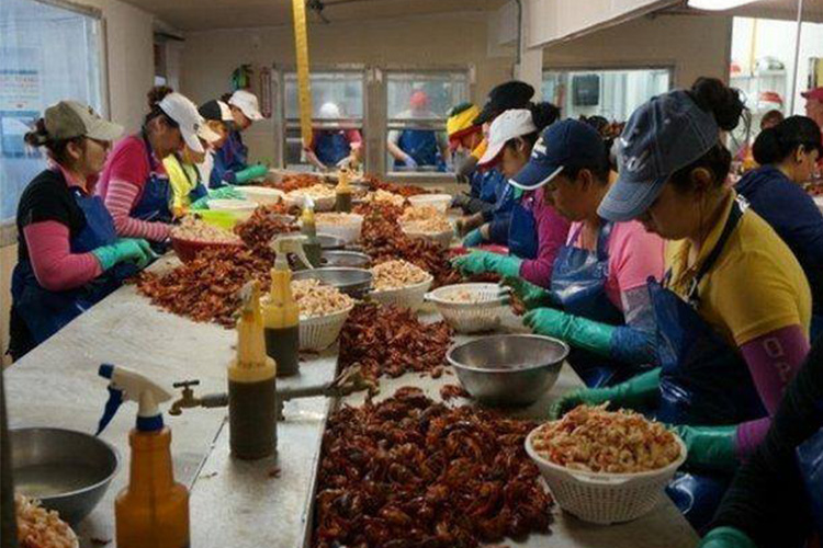 La pandemia de Covid-19 ha aumentado los casos de violencia hacia las mujeres en Latinoamérica y ha golpeado la economía de los hogares.