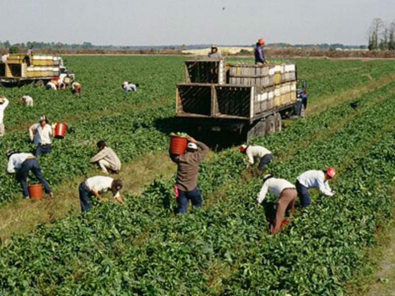 Derechos laborales VOA