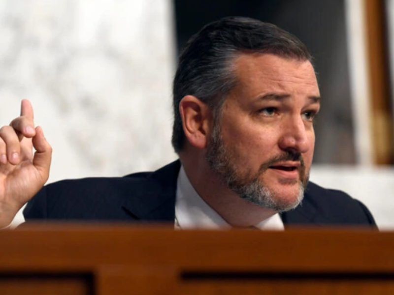 Ted Cruz impide el intento de los demócratas de aprobar DACA en Texas
