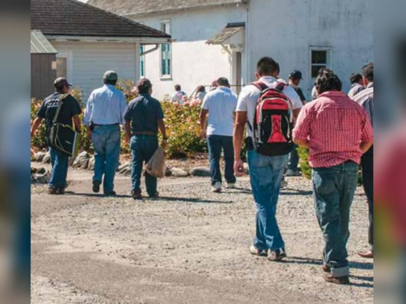 Muchas veces, los trabajadores migrantes en México no reclaman sus derechos porque están "de paso" en el país.
