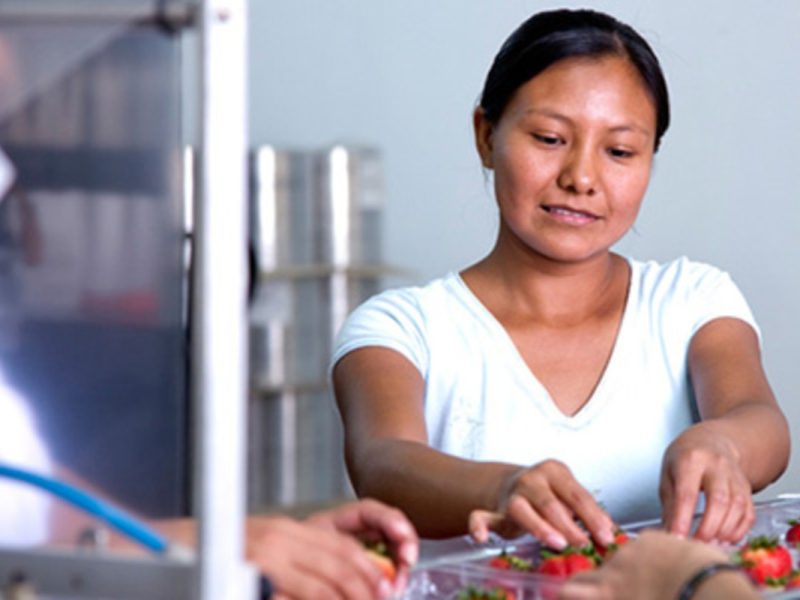 Crean red de apoyo para que no desaparezca el Programa 3x1 para migrantes