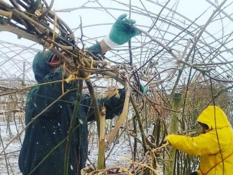 dignidad migrante instagram