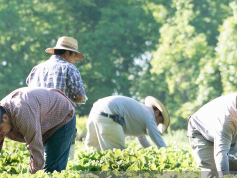 Crisis de remesas en Puebla por muerte de migrantes por Covid-19