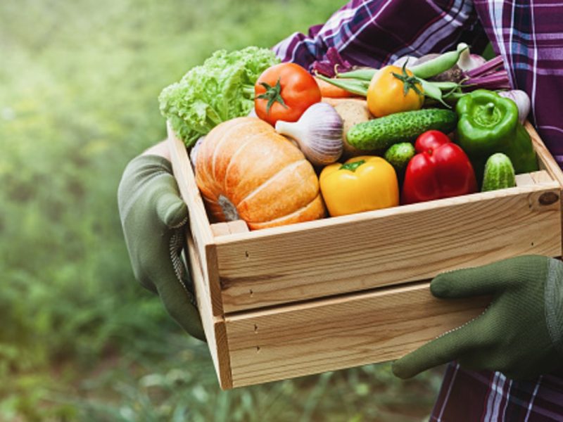 Trabajadores esenciales latinos son los más afectados por el Covid-19